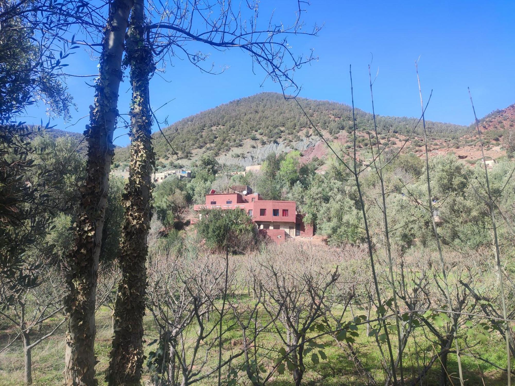 Chez Yahia, Au Coeur De L'Ourika Exterior foto