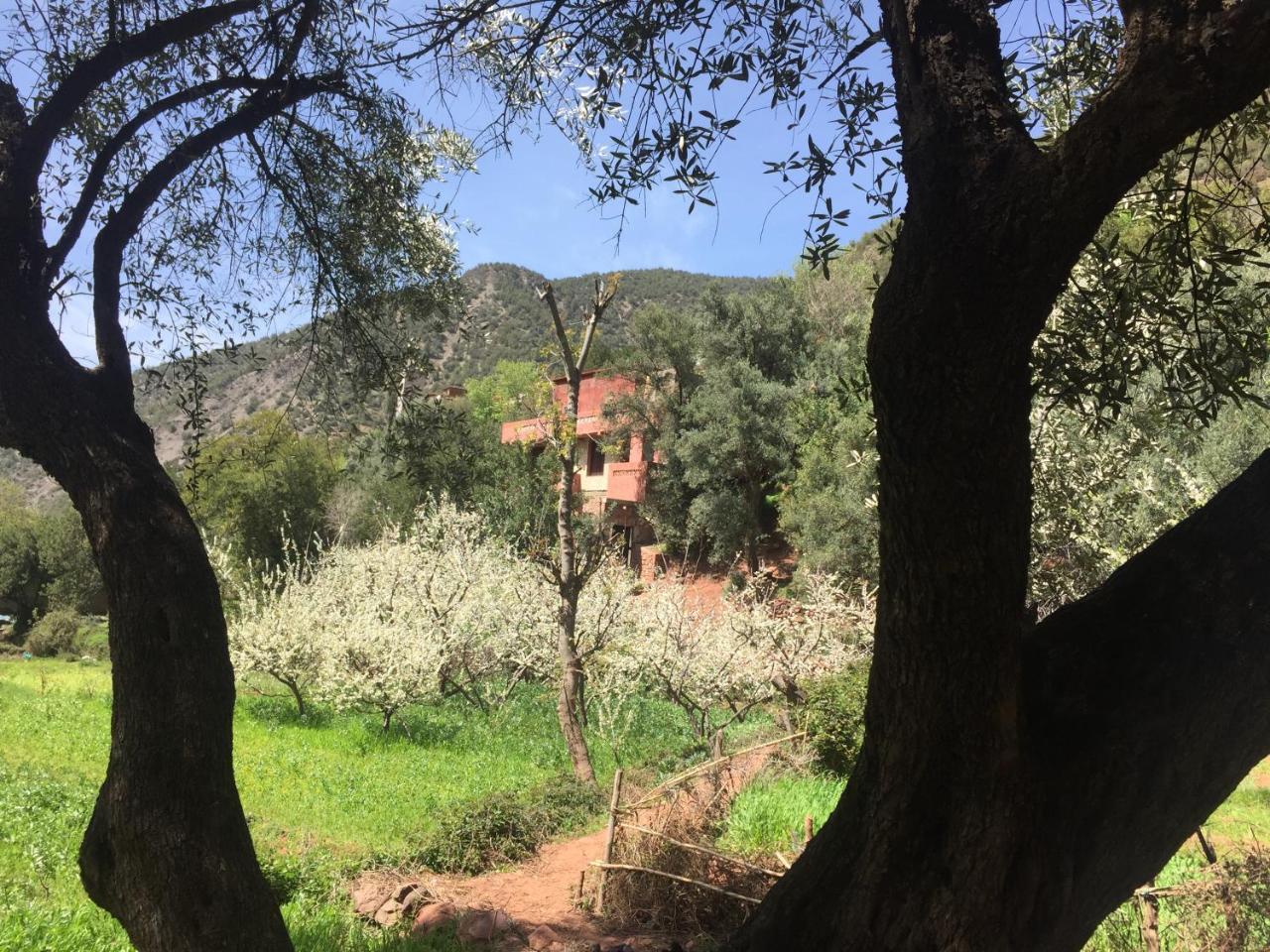 Chez Yahia, Au Coeur De L'Ourika Exterior foto